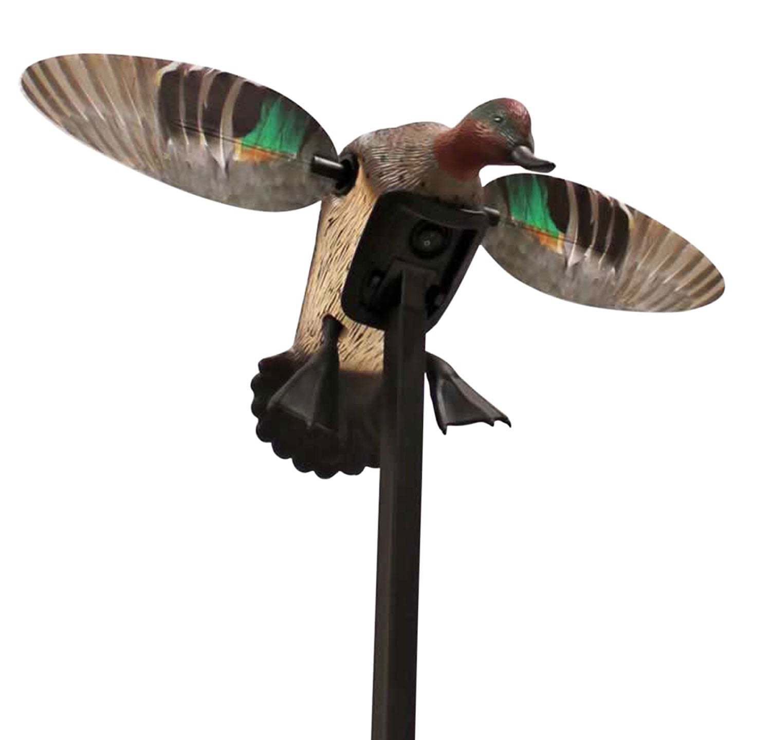 MOJO HW2474 ES GW TEAL