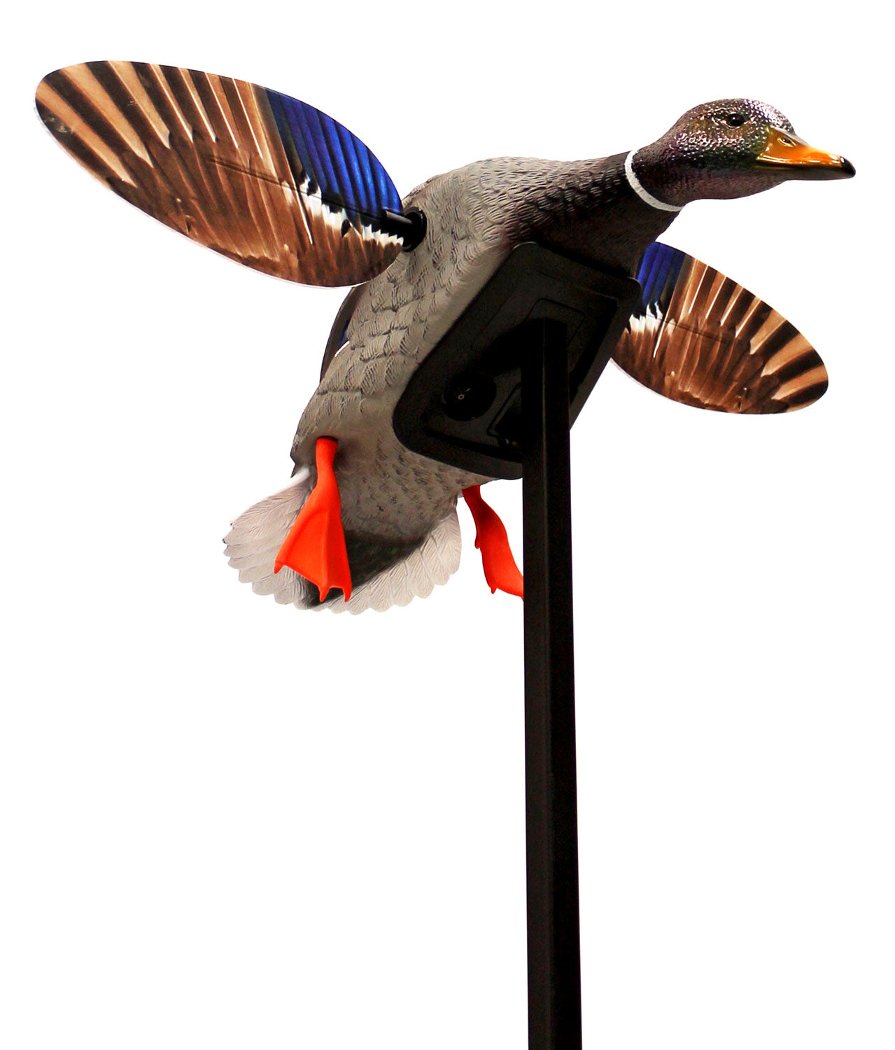 MOJO HW2470 MINI MALLARD DRAKE