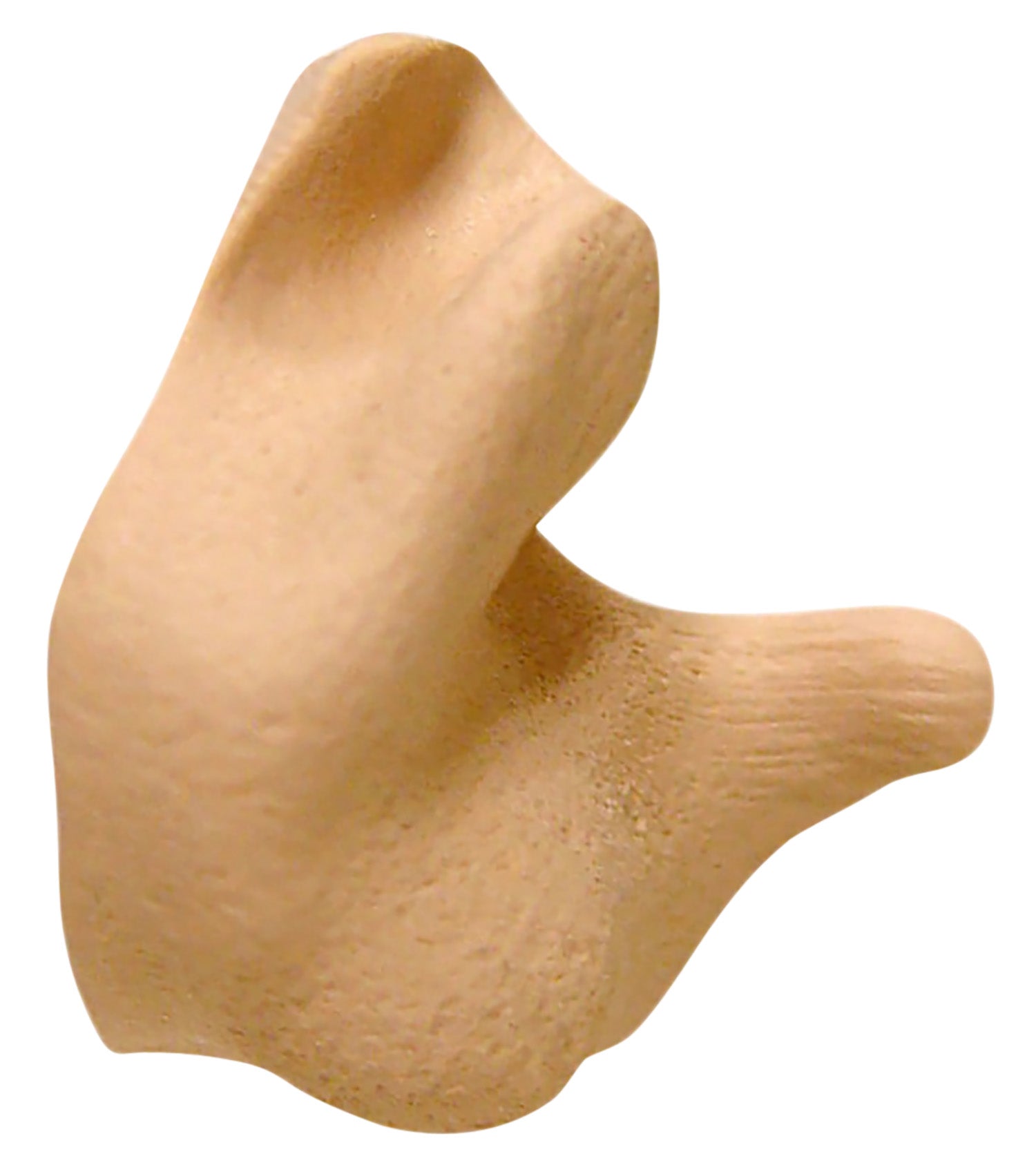 RAD CEP002-T CUST MOLDED EARPLUGS TAN