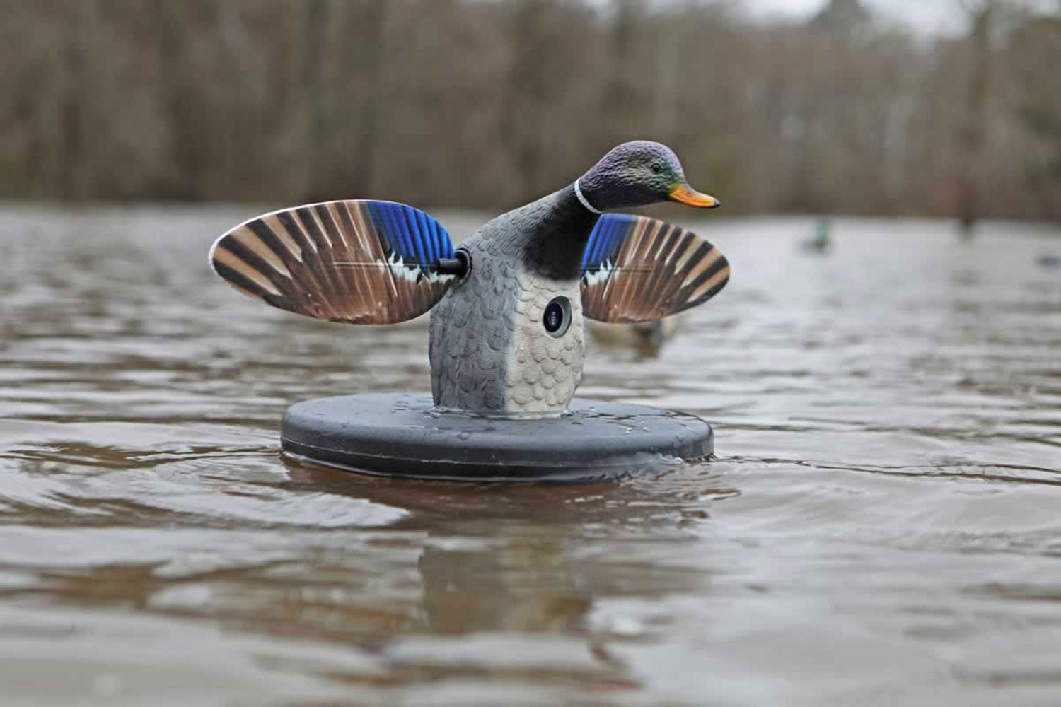 MOJO HW2494 ES FLOATER MALLARD W/BAR & REMOTE