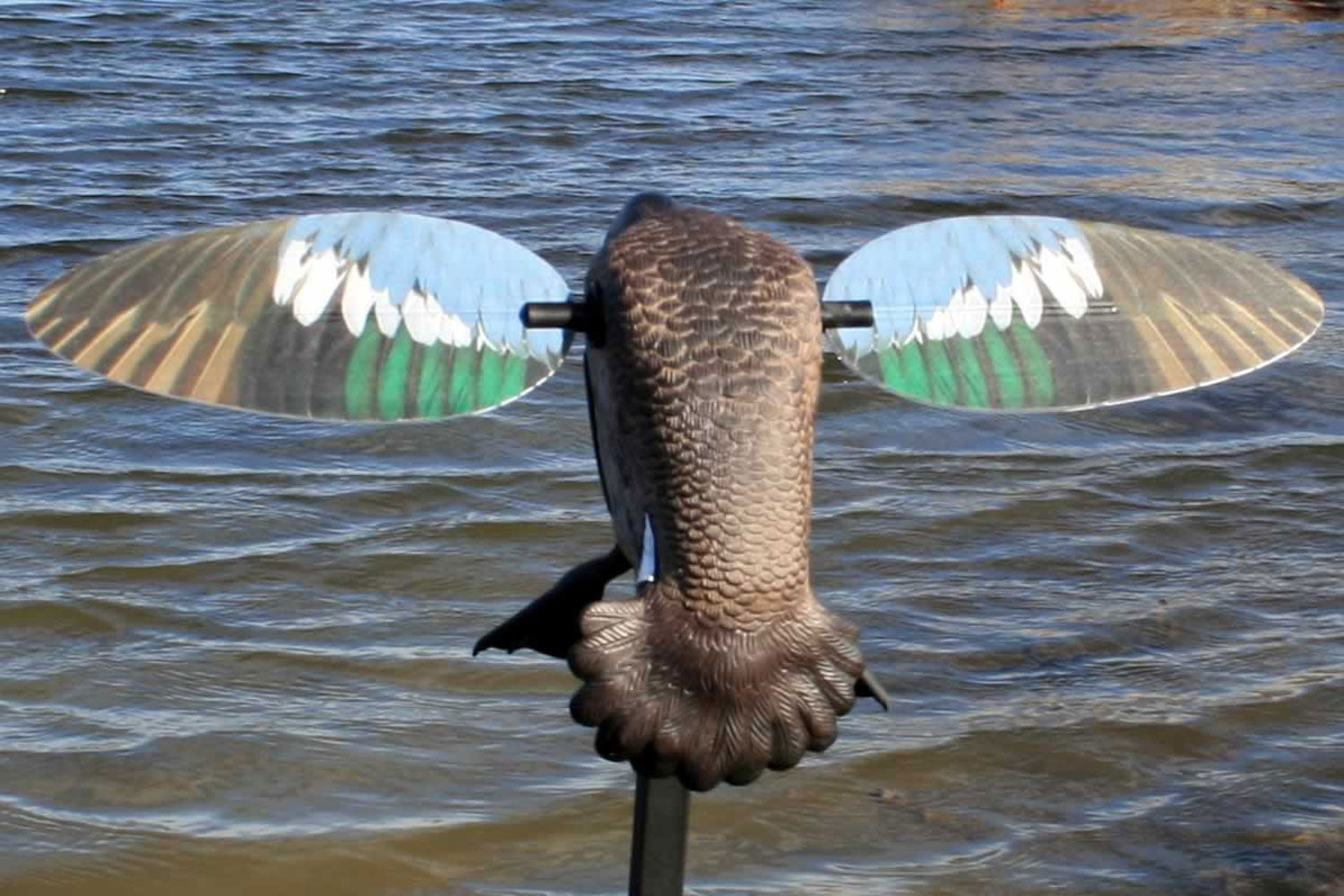 MOJO HW2475 ES BW TEAL