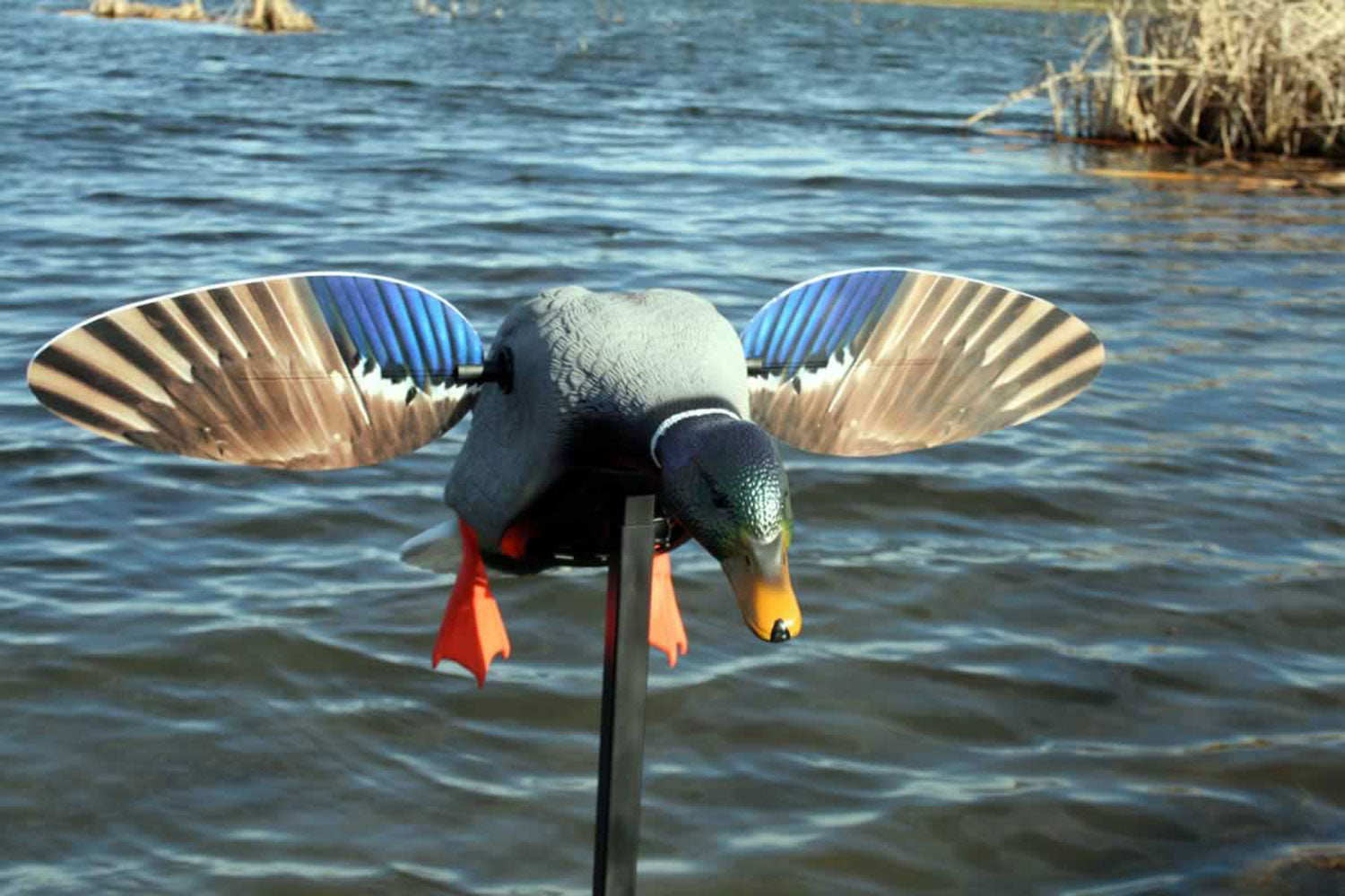 MOJO HW2487 MINI MALLARD DRAKE W/REMOTE
