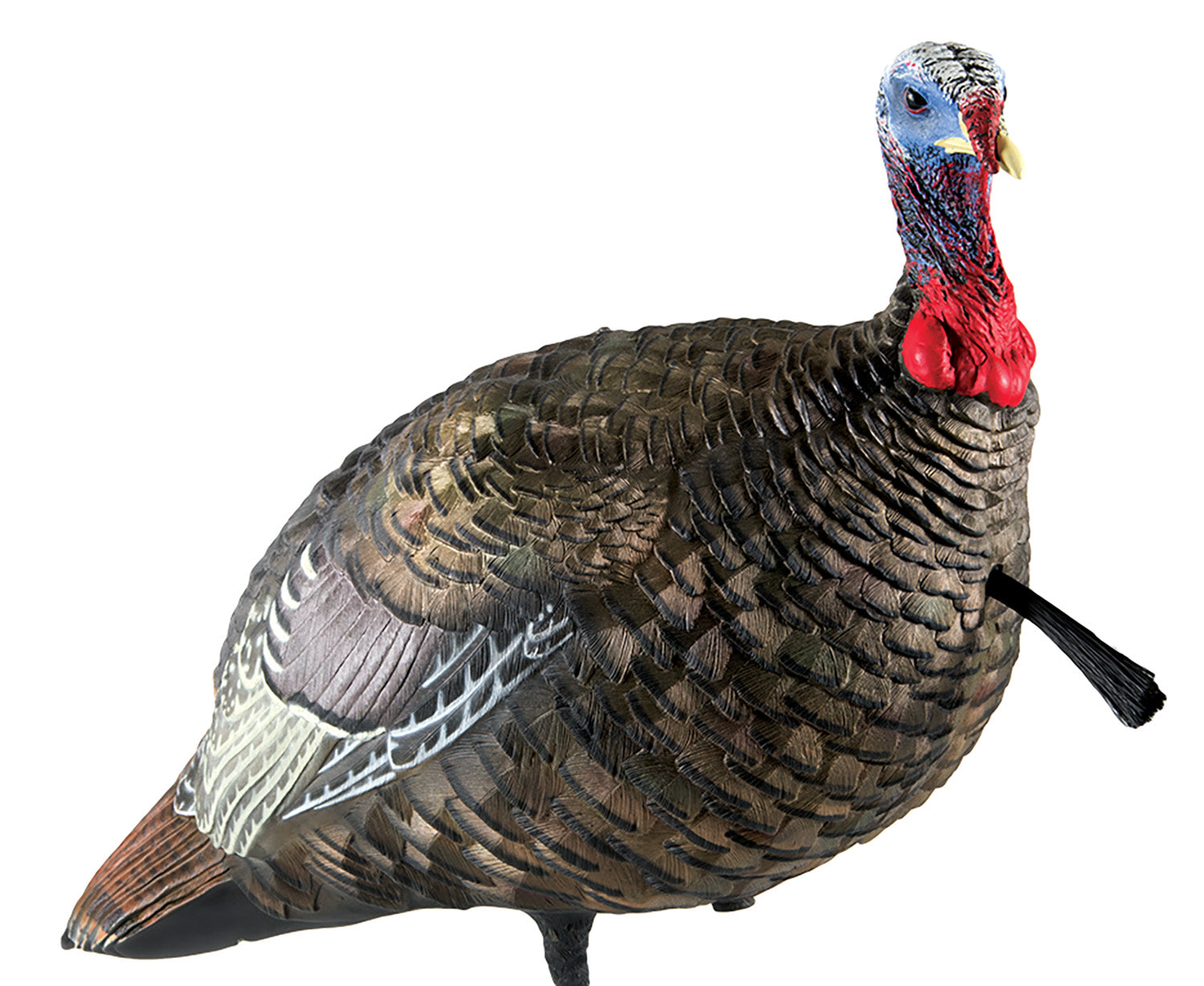 AVIAN AVXAVX8003 LCD QUARTER-STRUT JAKE DECOY