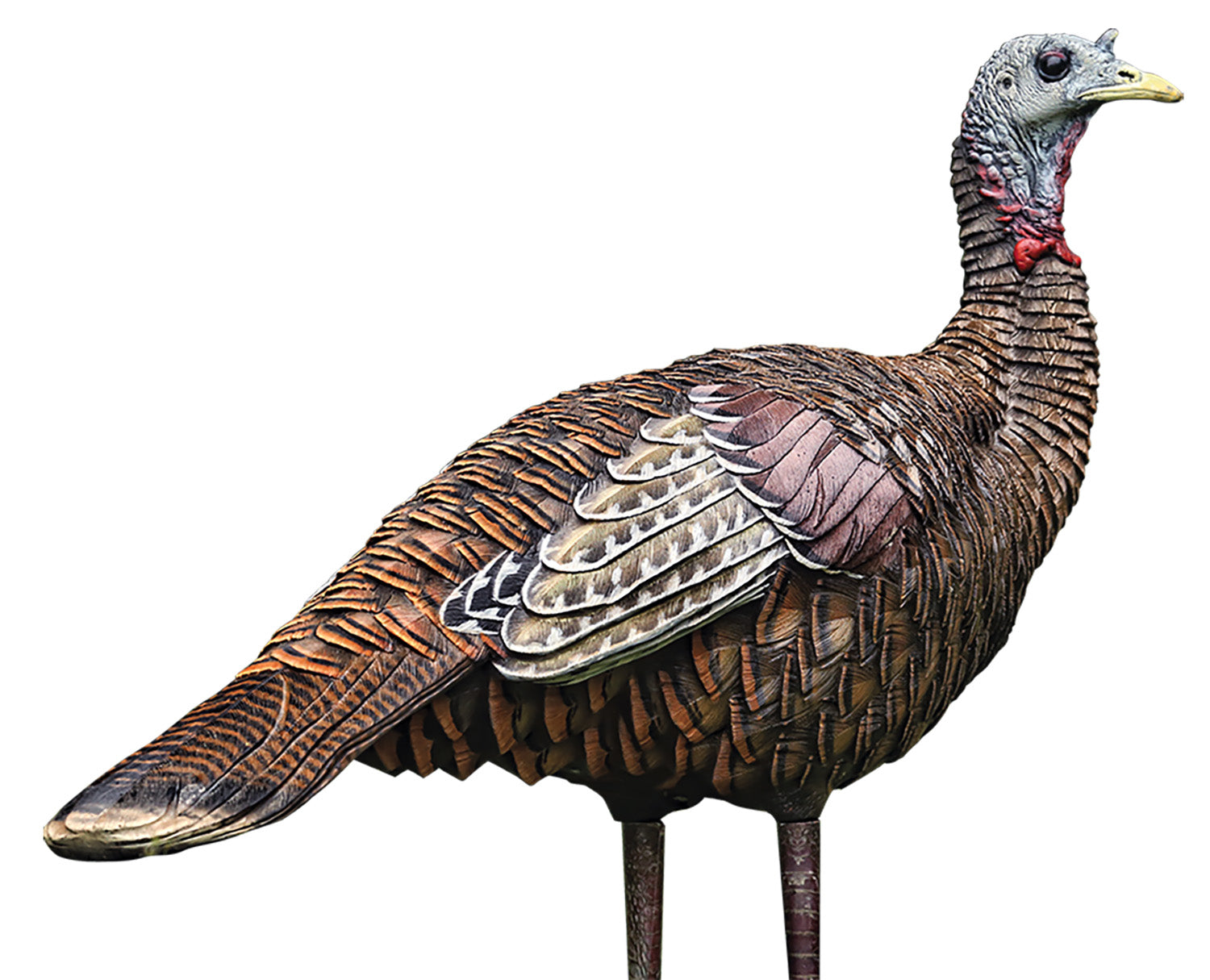 AVIAN AVXAVX8006 LCD LOOKOUT HEN DECOY