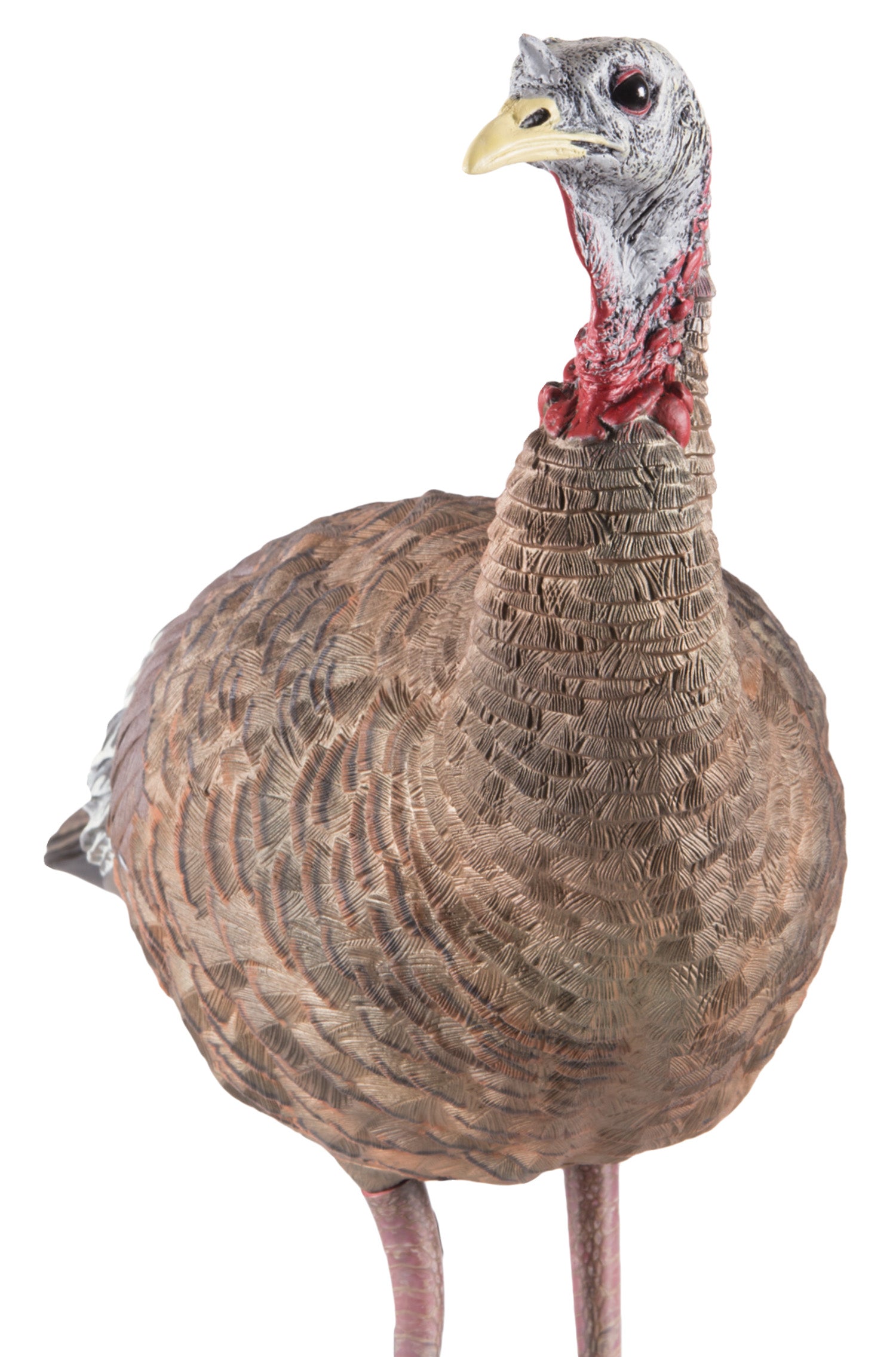 AVIAN AVXAVX8006 LCD LOOKOUT HEN DECOY