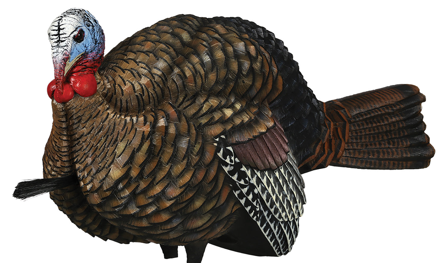 AVIAN AVXAVX8012 LCD HALF-STRUT JAKE DECOY