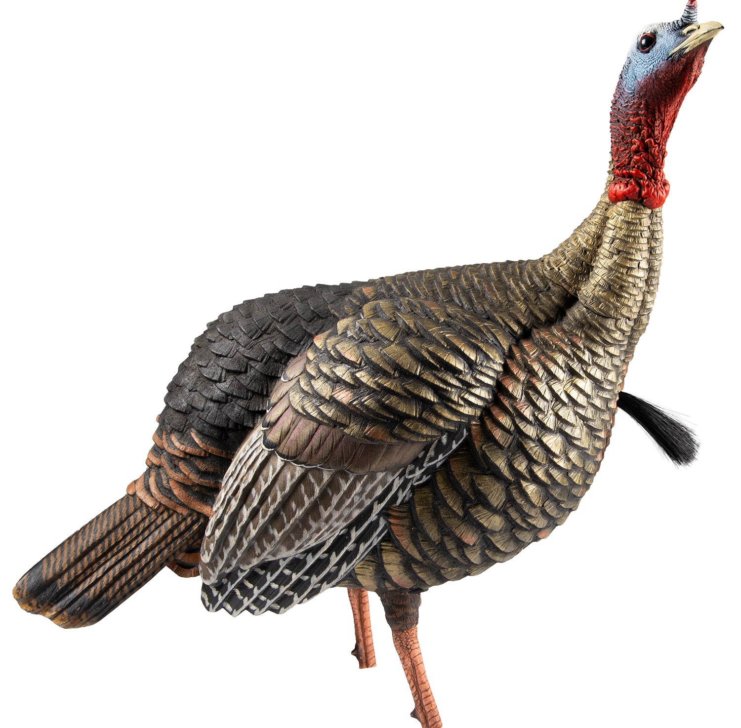 AVIAN AVXAVX8105 HDR JAKE DECOY