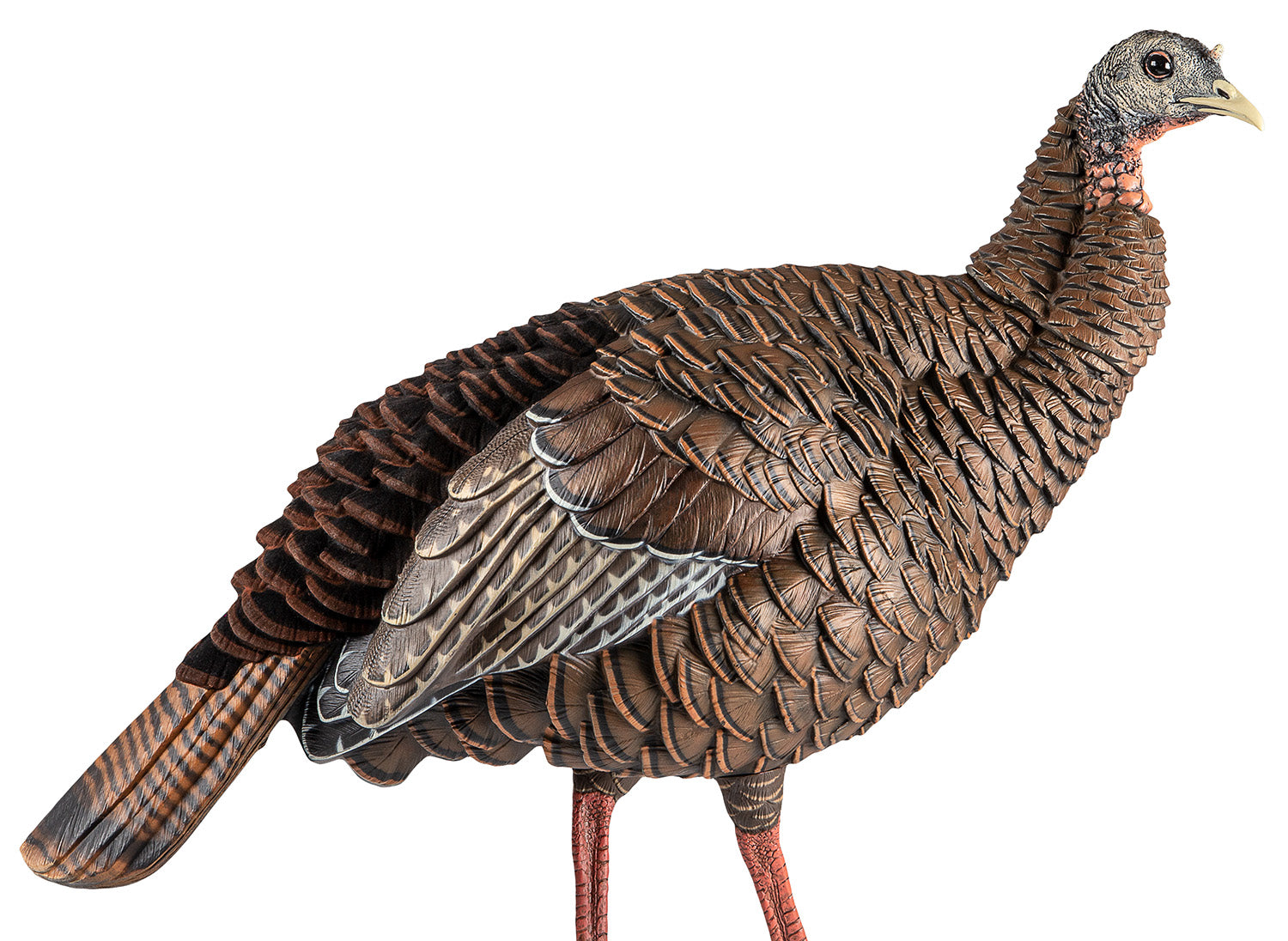 AVIAN AVXAVX8106 HDR HEN DECOY
