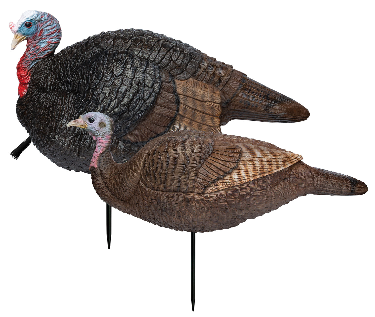 PRIM 69075 LIL GOBSTOPPER HEN AND JAKE COMBO