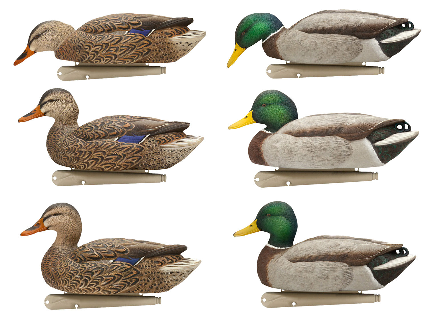 AVIAN AVX-AVX8080 TOPFLIGHT FLOATING BLWING TEAL