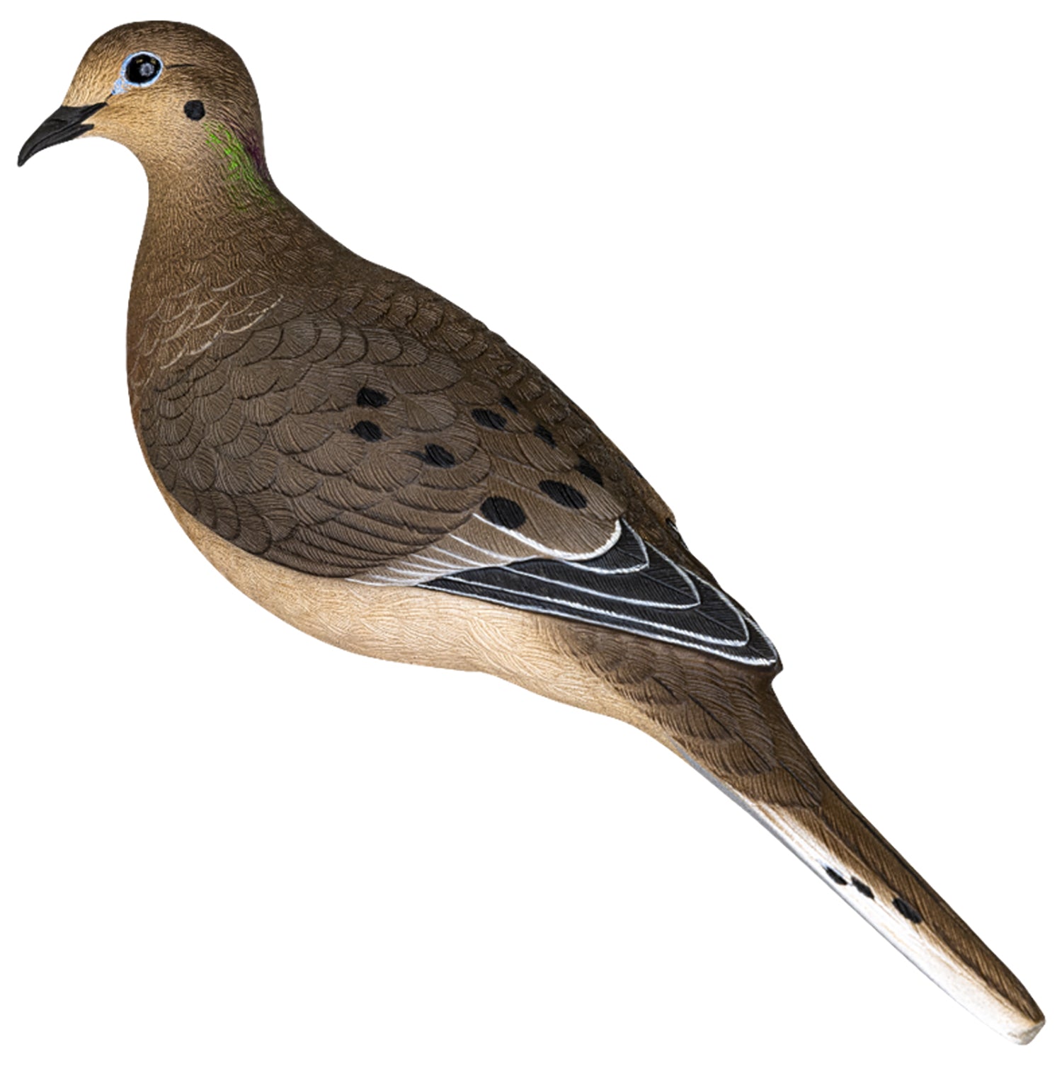 AVIAN AVX-DOVE-6PK AXP FULL BODY DOVE DECOYS 6PK