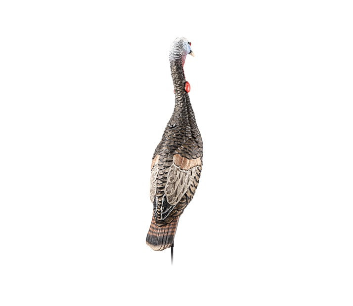 FLEXTONE FLX-FLXDY330 FUNKY CHICKEN GEN. 2