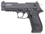 GSG GERG2210FF    FIREFLY 22LR         4  10R  BLK