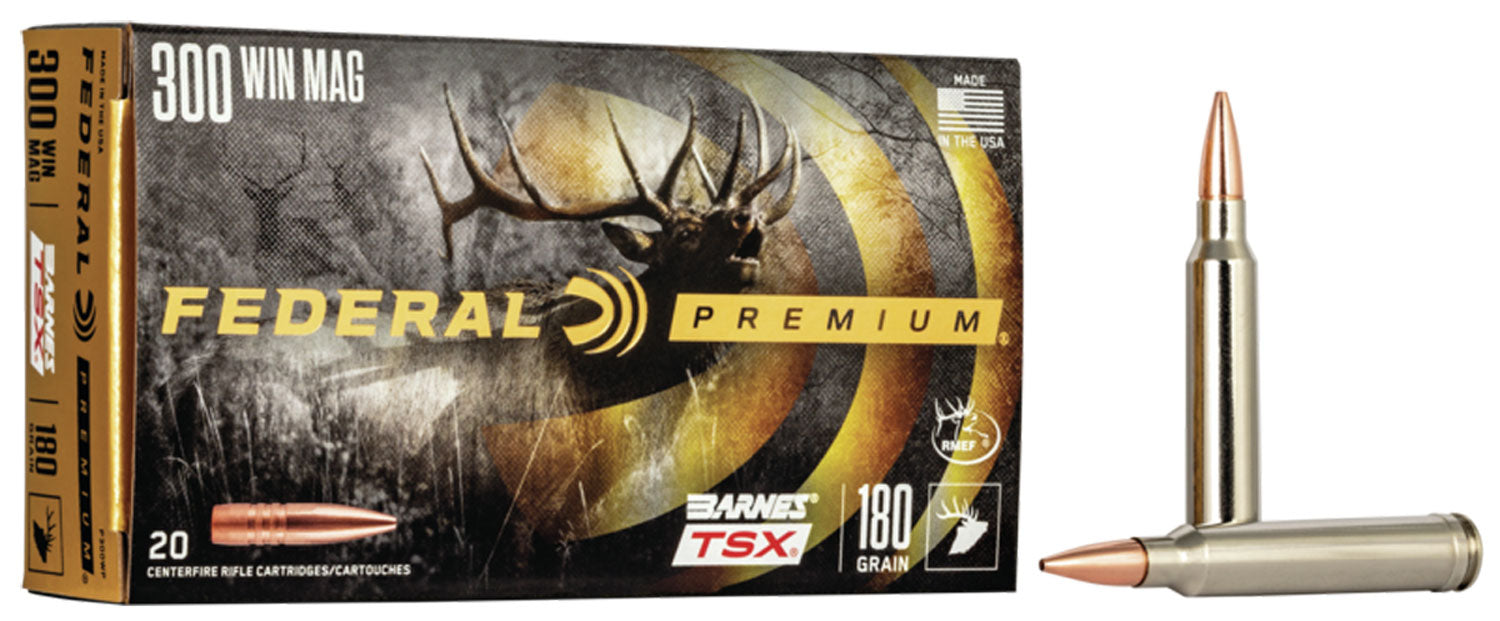 FED P300WP         300     180 BTSX          20/10