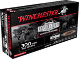 WIN S300SLR         300WSM  190 AB  EXPBG    20/10