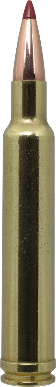 HORN 82213  PRCSN HUNT 300 WBY   200 ELD-X   20/10