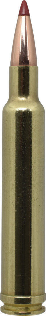 HORN 82213  PRCSN HUNT 300 WBY   200 ELD-X   20/10