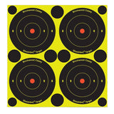 BIR 34315          SHOOT-N-C 3"  BULLSEYE     48PK