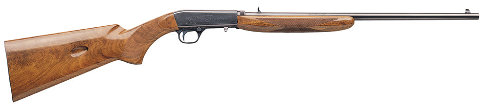 BRN 021001102 22 AUTO GRD 1       22LR 19  10R WAL