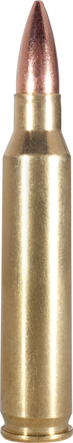 ARMS FAC2238N           223     62 FMJ       20/50