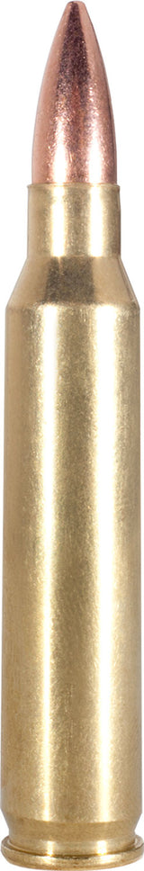 ARMS FAC2231N           223     55 FMJ       20/50