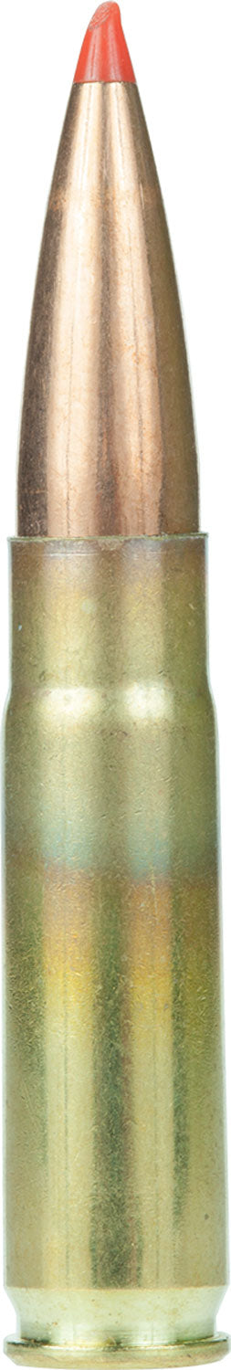 ARMS FAC300AAC2N        300BO  208 AMAX      20/10