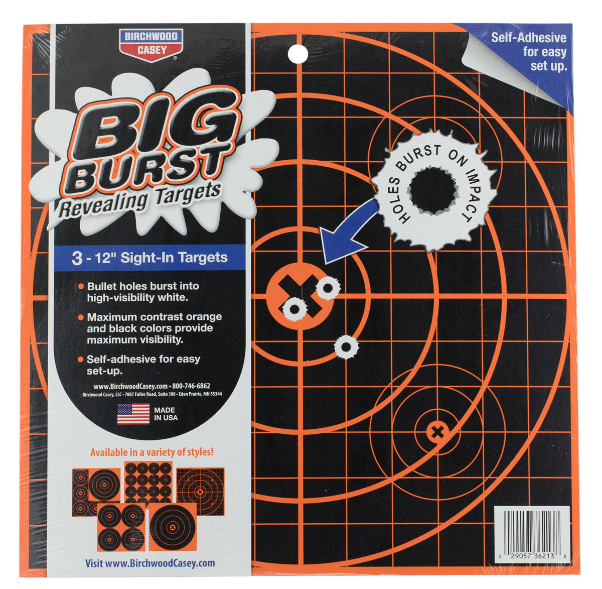 BIR 36123          BIG BURST 12
