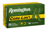REM 29049 R6CM01   6MMCRD  100 PSPCL         20/10