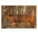 BIR 37481          EZESCORER 23X35 WHTETL DEER 2PK