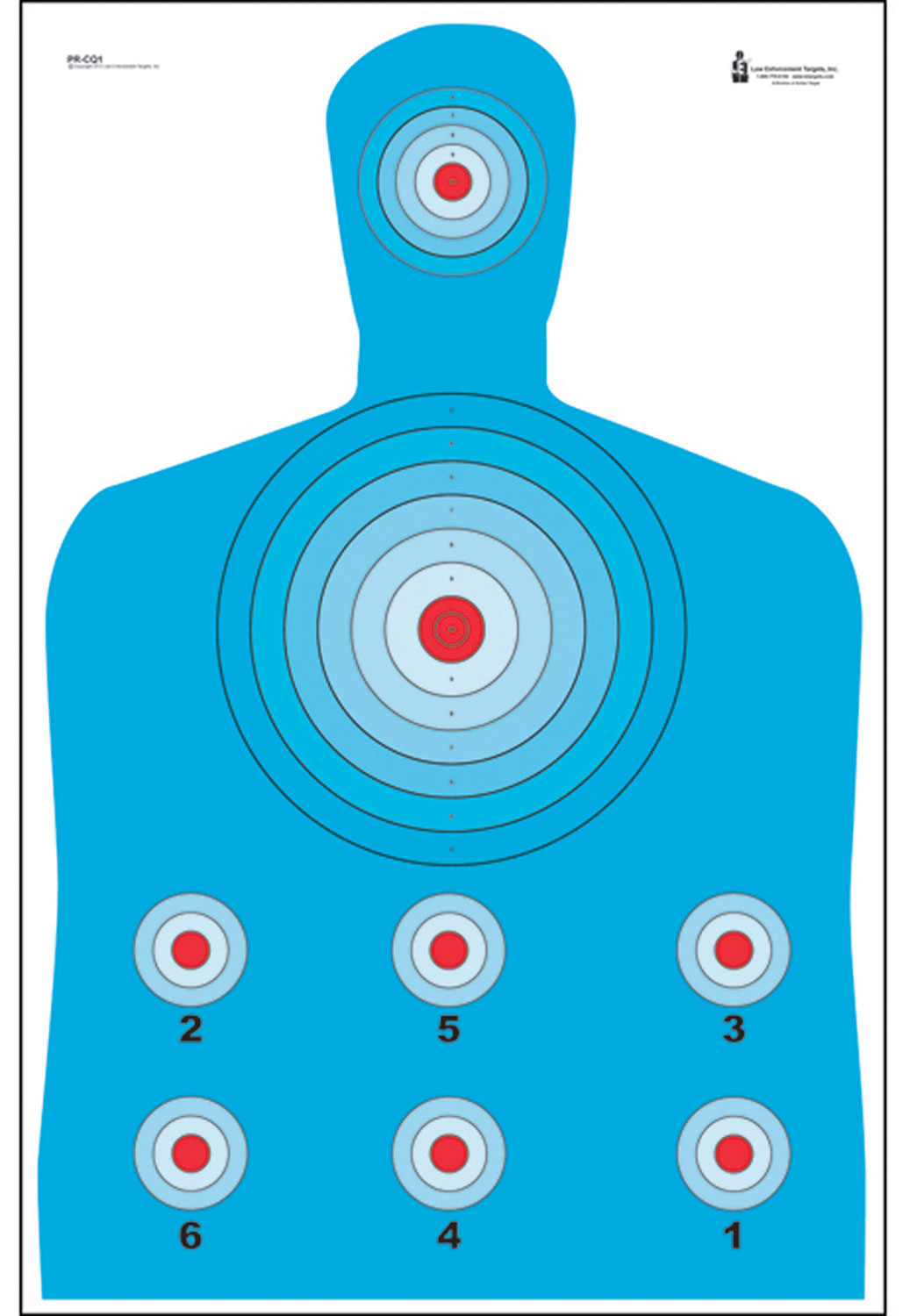 ACTION PRCQ1100       HIVIS FLRSNT TARGET    100BX