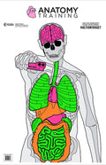 ACTION GSANATOMY100   ANATOMY SILHTE VITALS  100BX