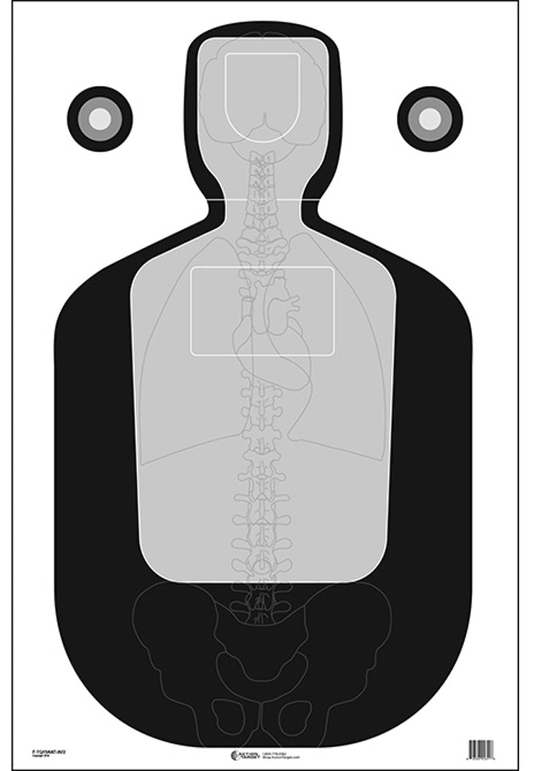 ACTION FTQ19ANTAV2100 TQ19  VITALS TARGET    100BX