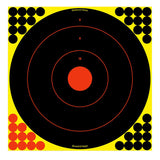 BIR 34170          SHOOT-N-C 17.25  BULLSE   100PK