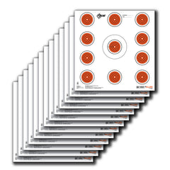 ALLEN 15245   EZAIM PAPER 12X12 11 SPOTINDOOR 13PK