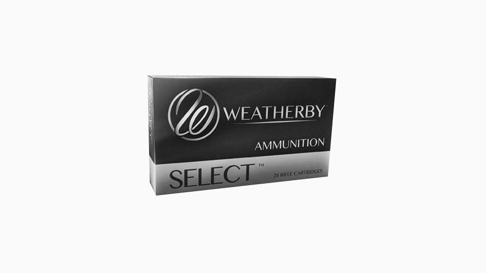 WTHBY H7MM154IL    7MMWBY  154 HORNADY IL    20/10