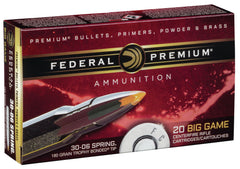 FED P3006TT1       3006    180 TB            20/10