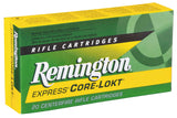 REM 21507 R25062   2506     100 PSPCL        20/10
