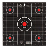 BIR 35212          DIRTYBRD 12" SIGHTIN TGT   12PK