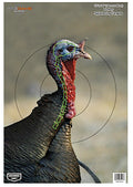 BIR 35403          PREGAME 12X18 TURKEY        8PK