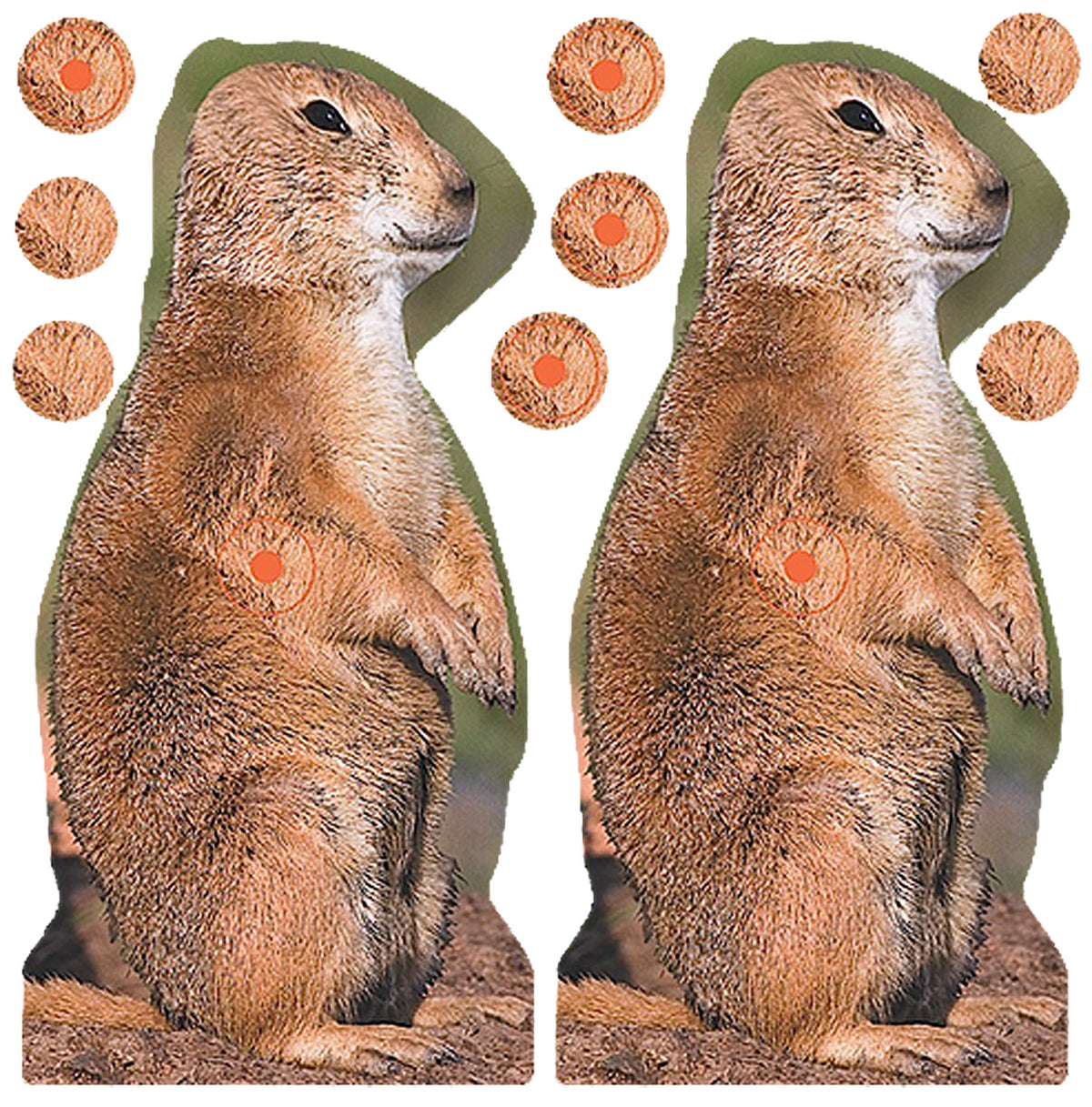 BIR 34786          SHOOT-N-C PRAIRIE CHUCK    12PK