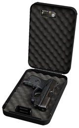 BDOG BD1126      PERSONAL VAULT W/COMBINTN