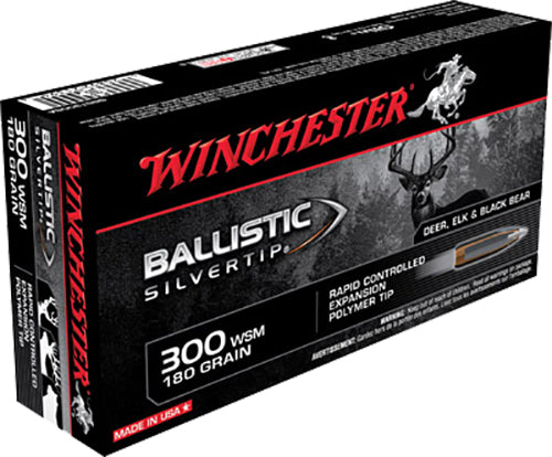 WIN SBST300SA       300WSM  180 BLST         20/10