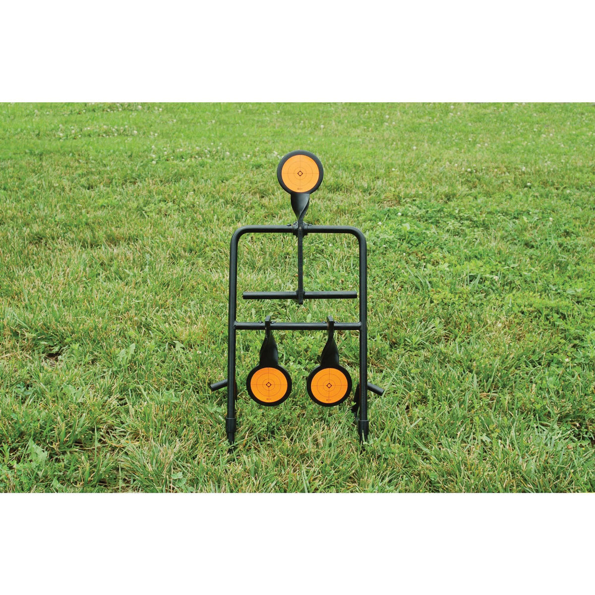 CALD 1071002   HANDGN RESETTING    TARGET