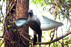 MOJO HW7201   WIND DOVE