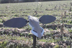 MOJO HW2488   ES DOVE
