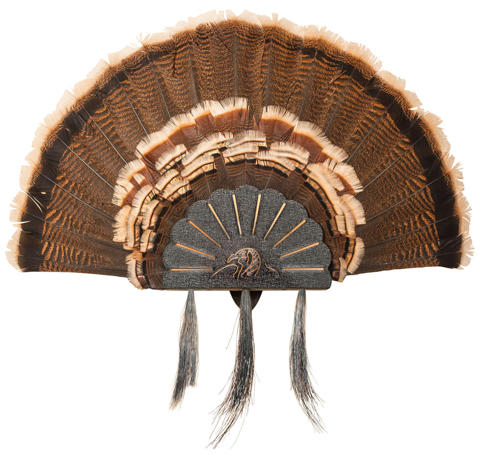 HS SKHTURKASSYBLK       TURKEY HOOKER