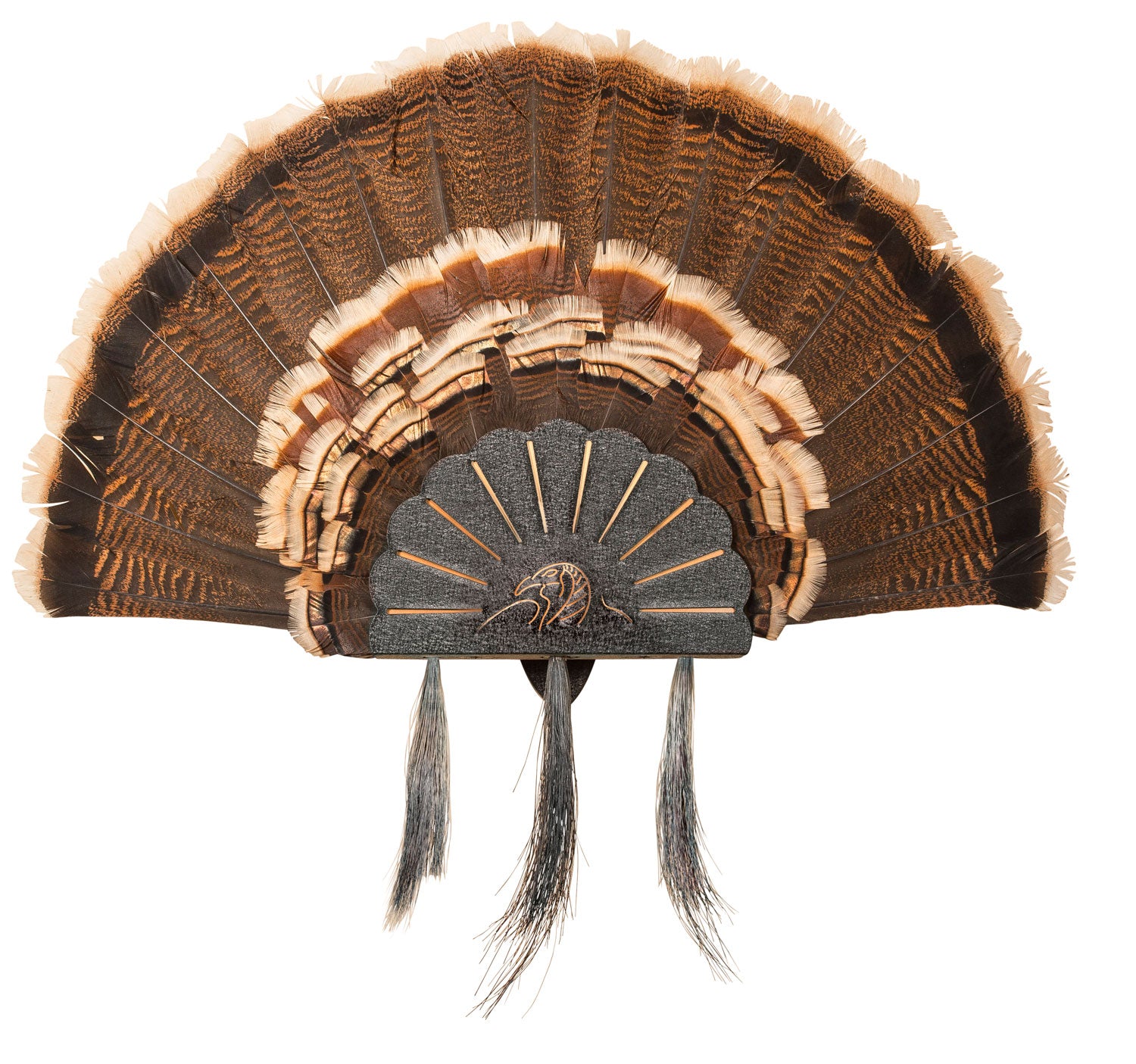 HS SKHTURKASSYBLK       TURKEY HOOKER