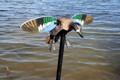 MOJO HW2475   ES BW TEAL