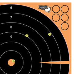 ALLEN 15227    EZAIM ADHSVE SPLSH 16" BULLSEYE 5PK