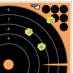 ALLEN 15317    EZAIM ADHSVE SPLSH 12" BULLSEYE 5PK